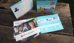 UW Flexible Option First Year Report