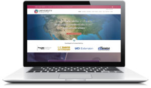 University Learning Store Program